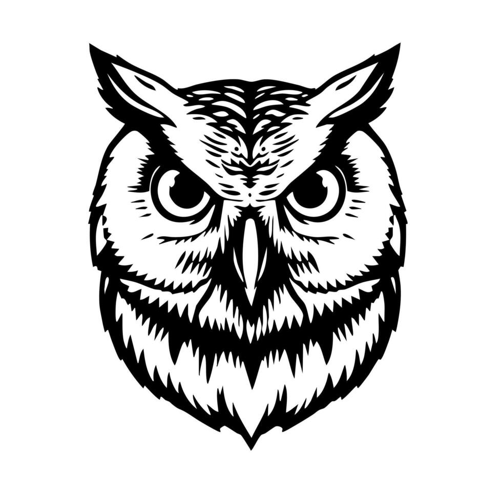 An owl head with large eyes and a black and white outline vector