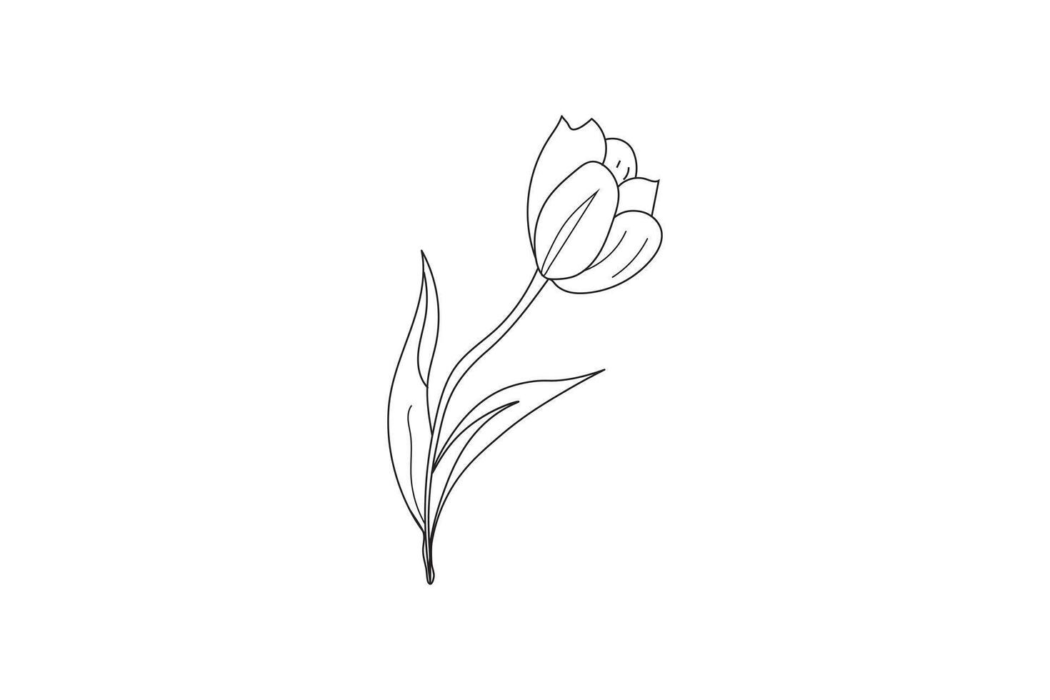 clean line art of tulip with soft botanical charm vector