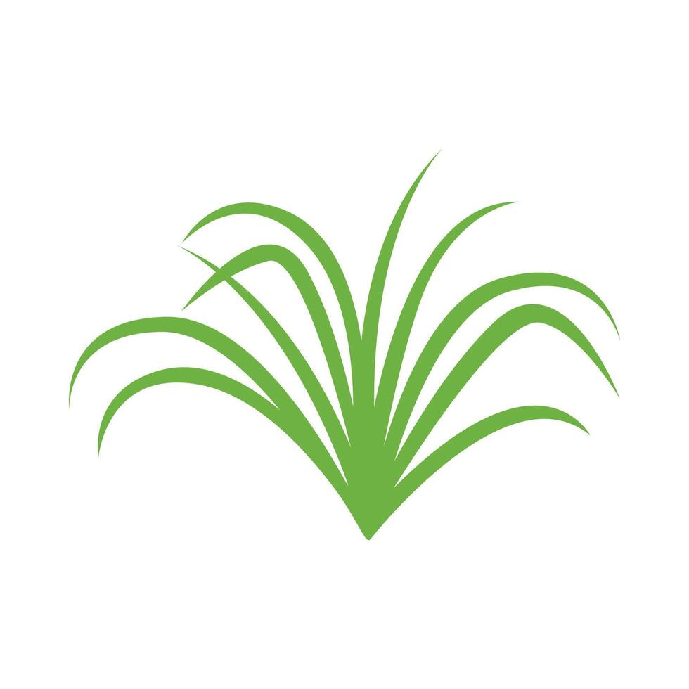 grass leaves, rice leaf graphic simple vector
