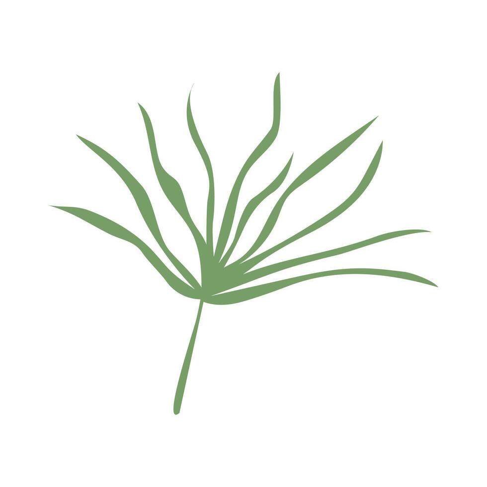 simple leaves, leaf with graphic green color vector