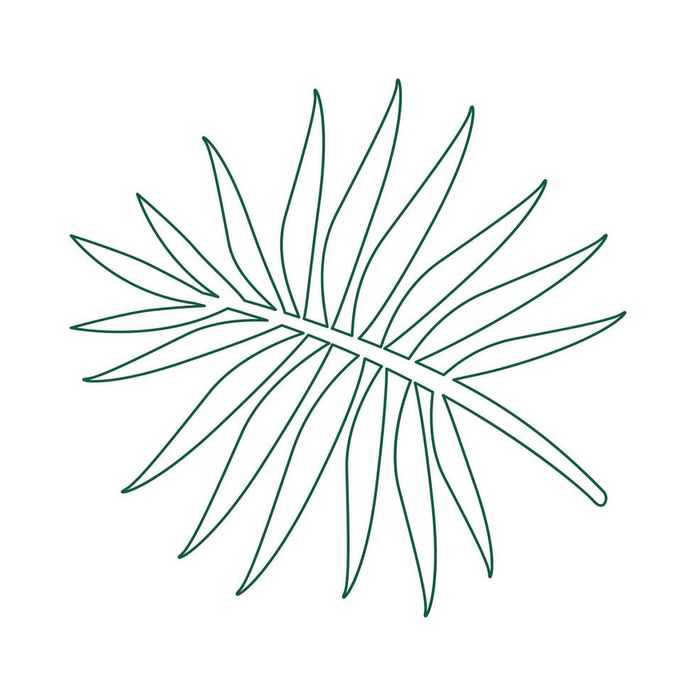 simple leaves outline, leaf graphic line shape vector