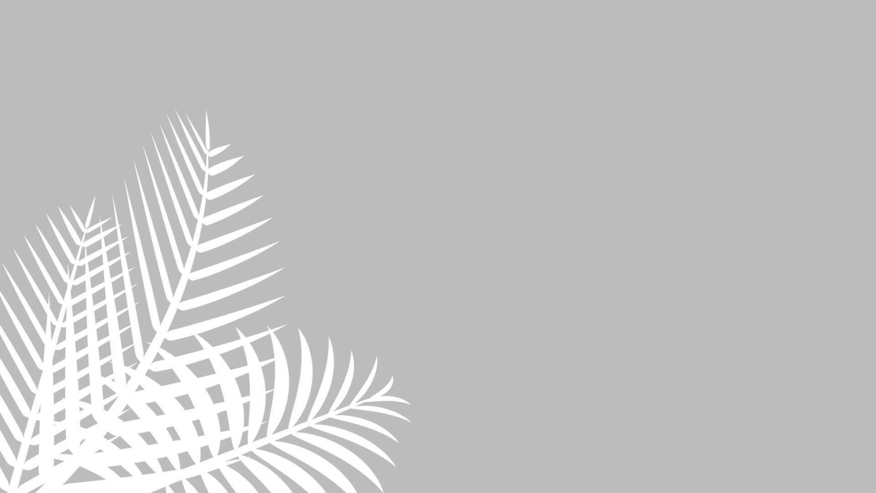 coconut leaf white on grey wall for background, palm tree leaves white shadow, floral leaves shadow white on grey, illustration nature foliage white shadow pattern on gray wall, copy space for banner vector