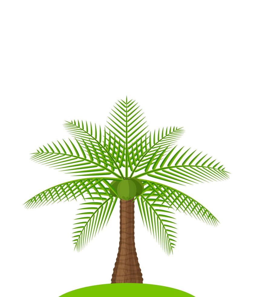 coconut tree simple isolated on white, illustration coconut palm tree, coconut tree for clip art, palm tree on small island vector