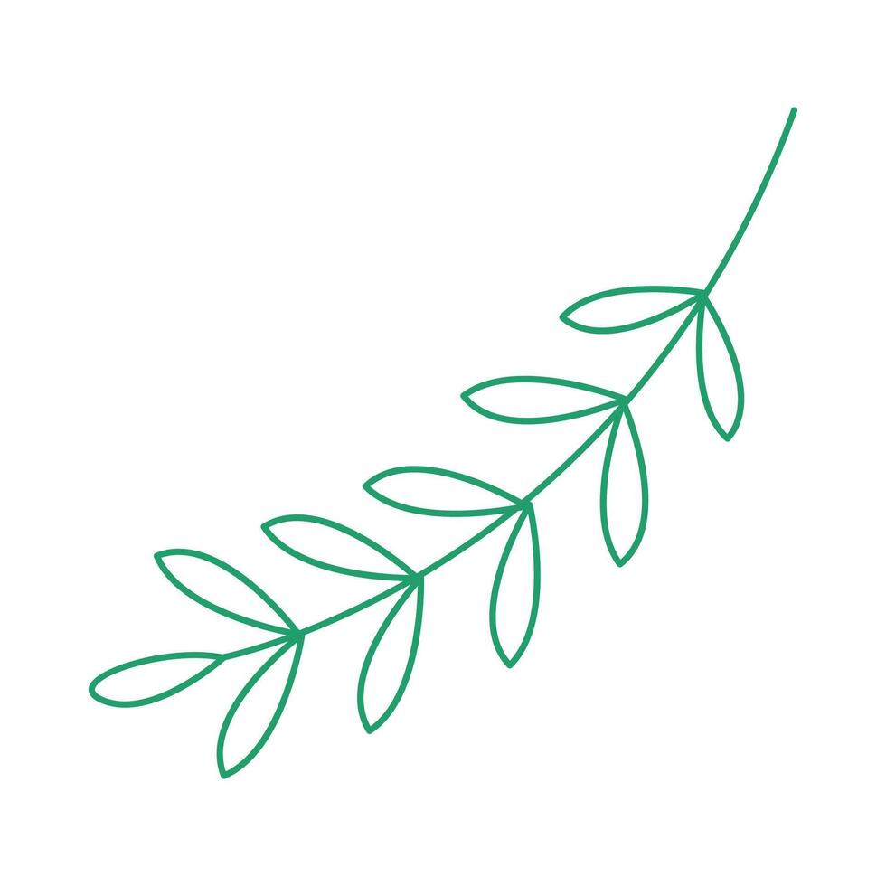 simple leaves outline, leaf graphic line vector