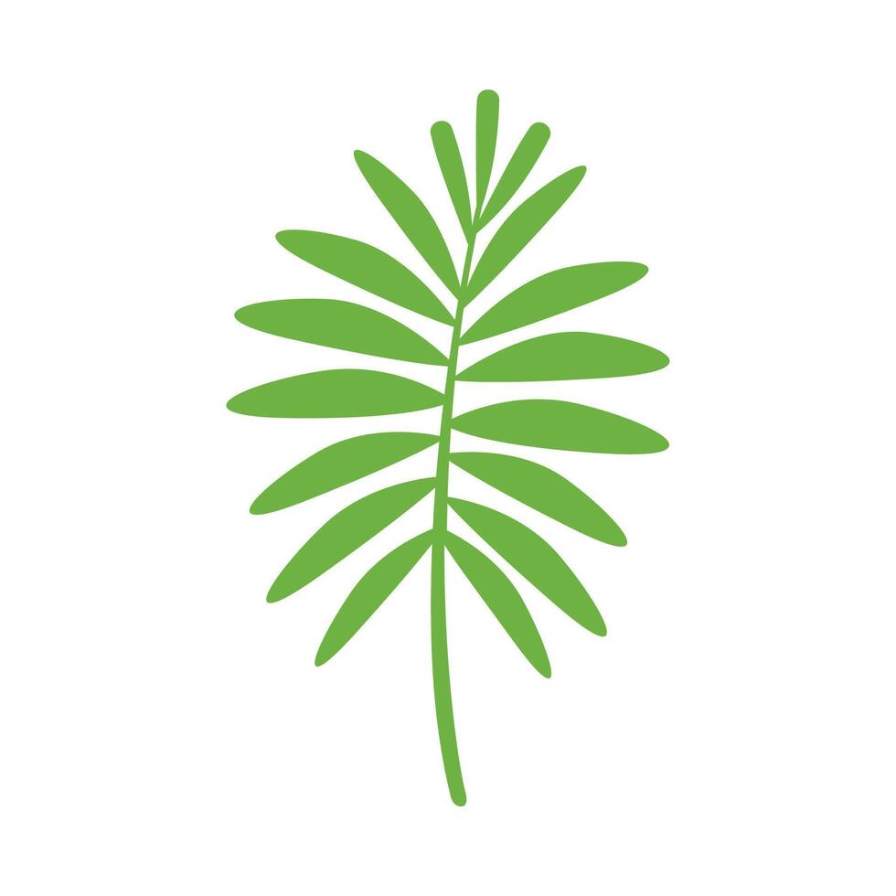simple leaves, leaf graphic in a green pastel color vector