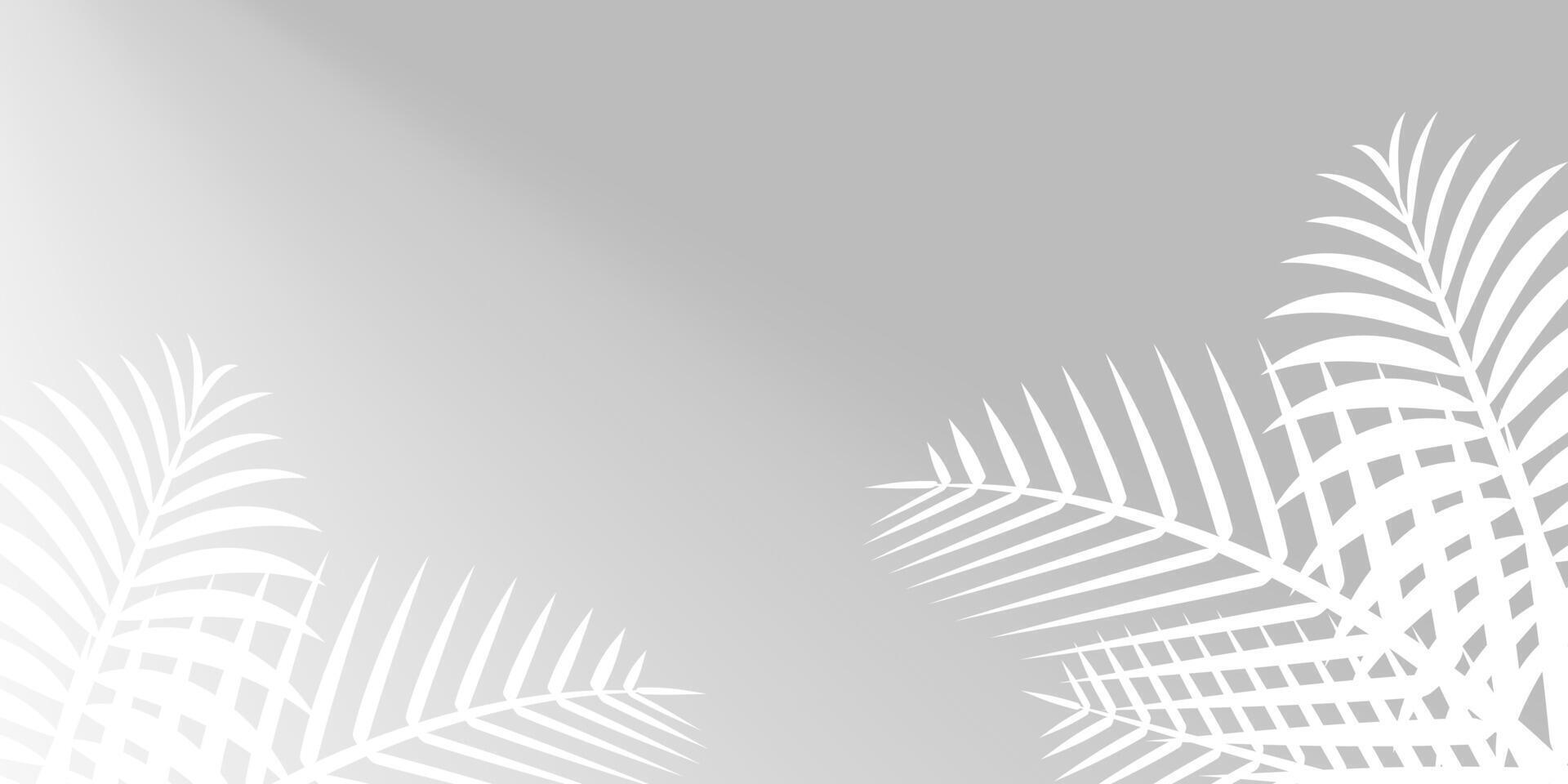 coconut leaf white on grey wall for background, palm tree leaves white shadow, floral leaves shadow white on grey, illustration nature foliage white shadow pattern on gray wall, copy space vector