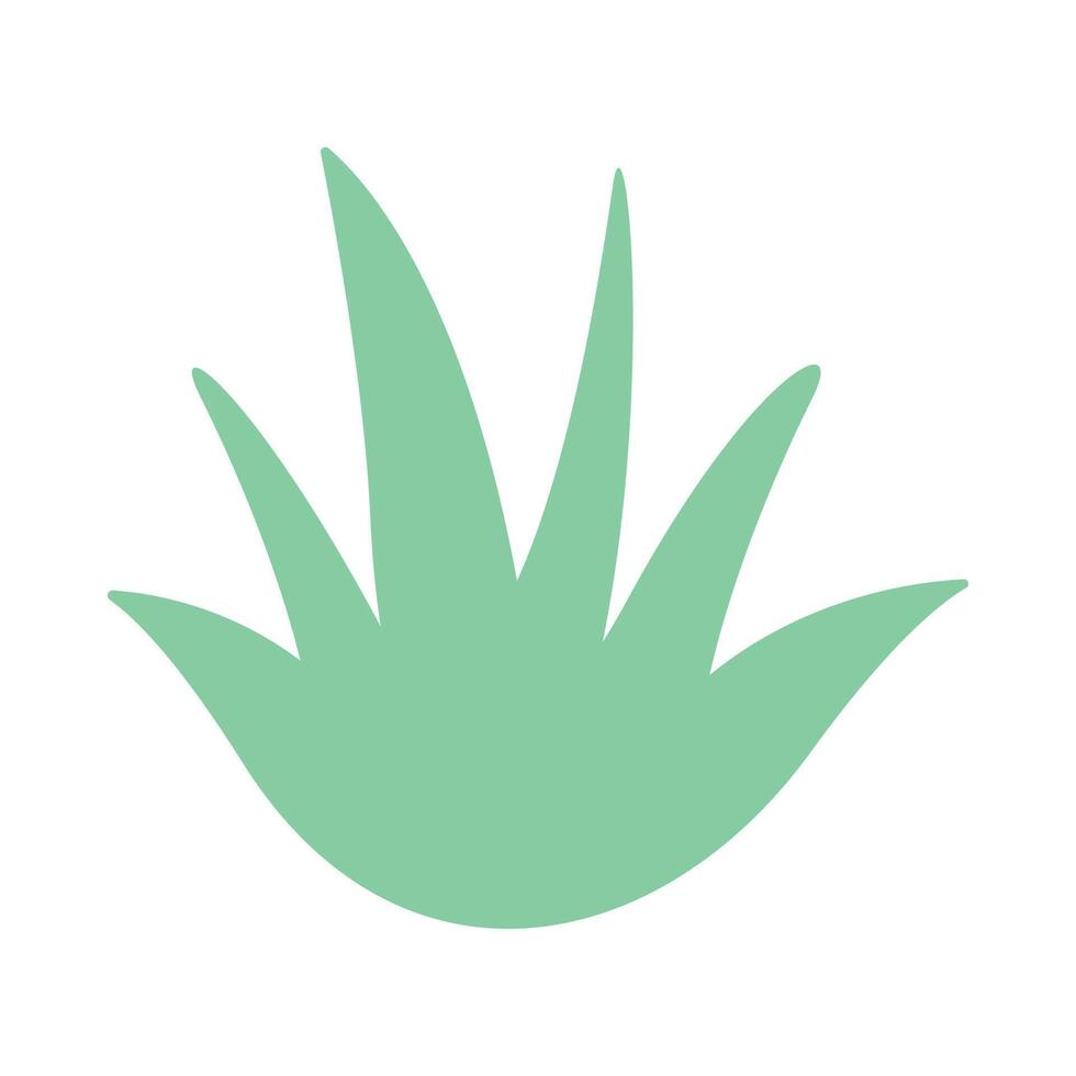 aloe vera simple shape, aloe vera graphic vector