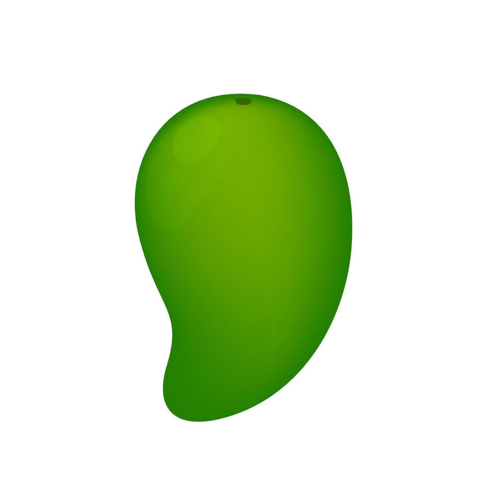 mango green fruit simple isolated on white vector