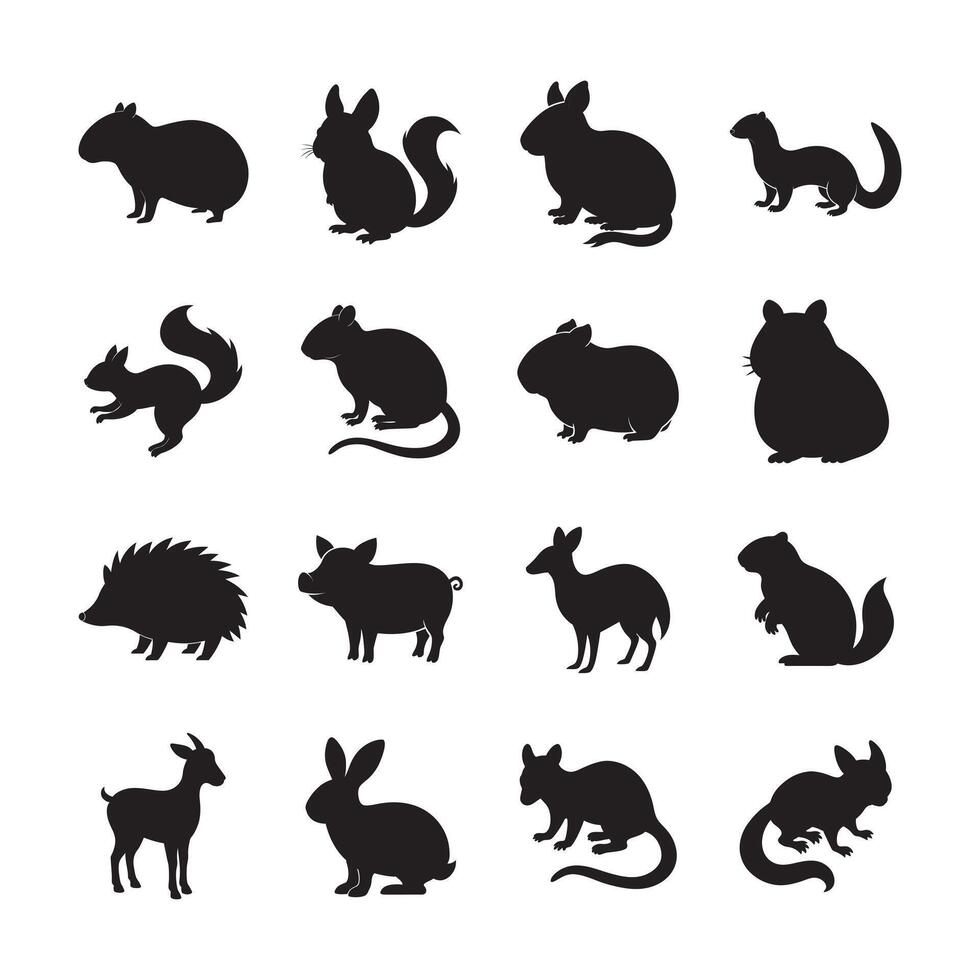 Popular Small Mammals As Pets Collection vector