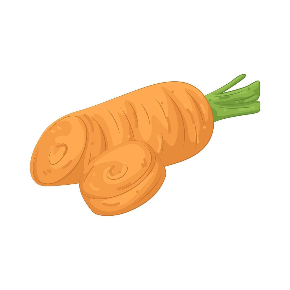 Illustration of Carrot with slice vector