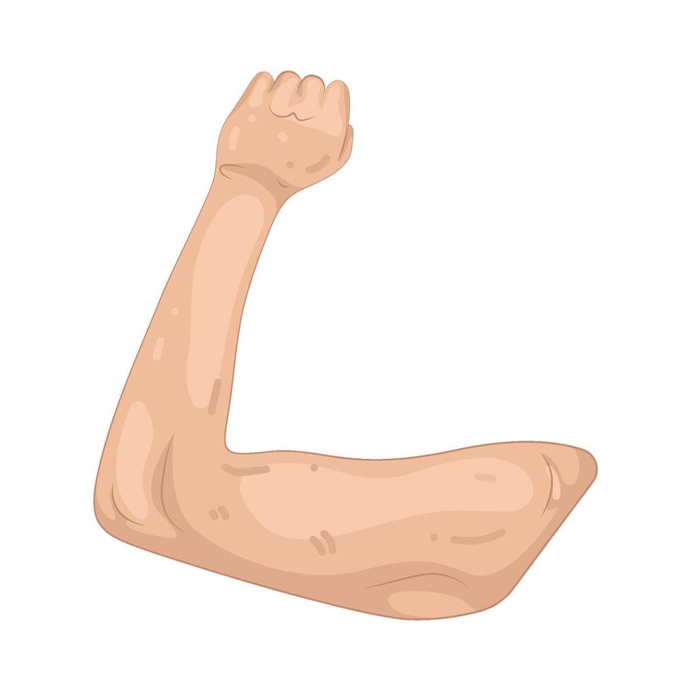 Illustration of Shoulders vector