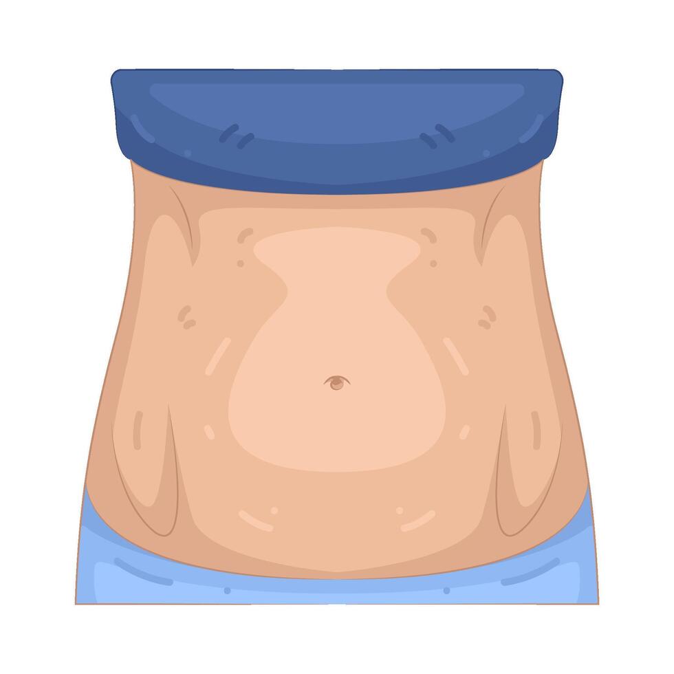 Illustration of Waist vector