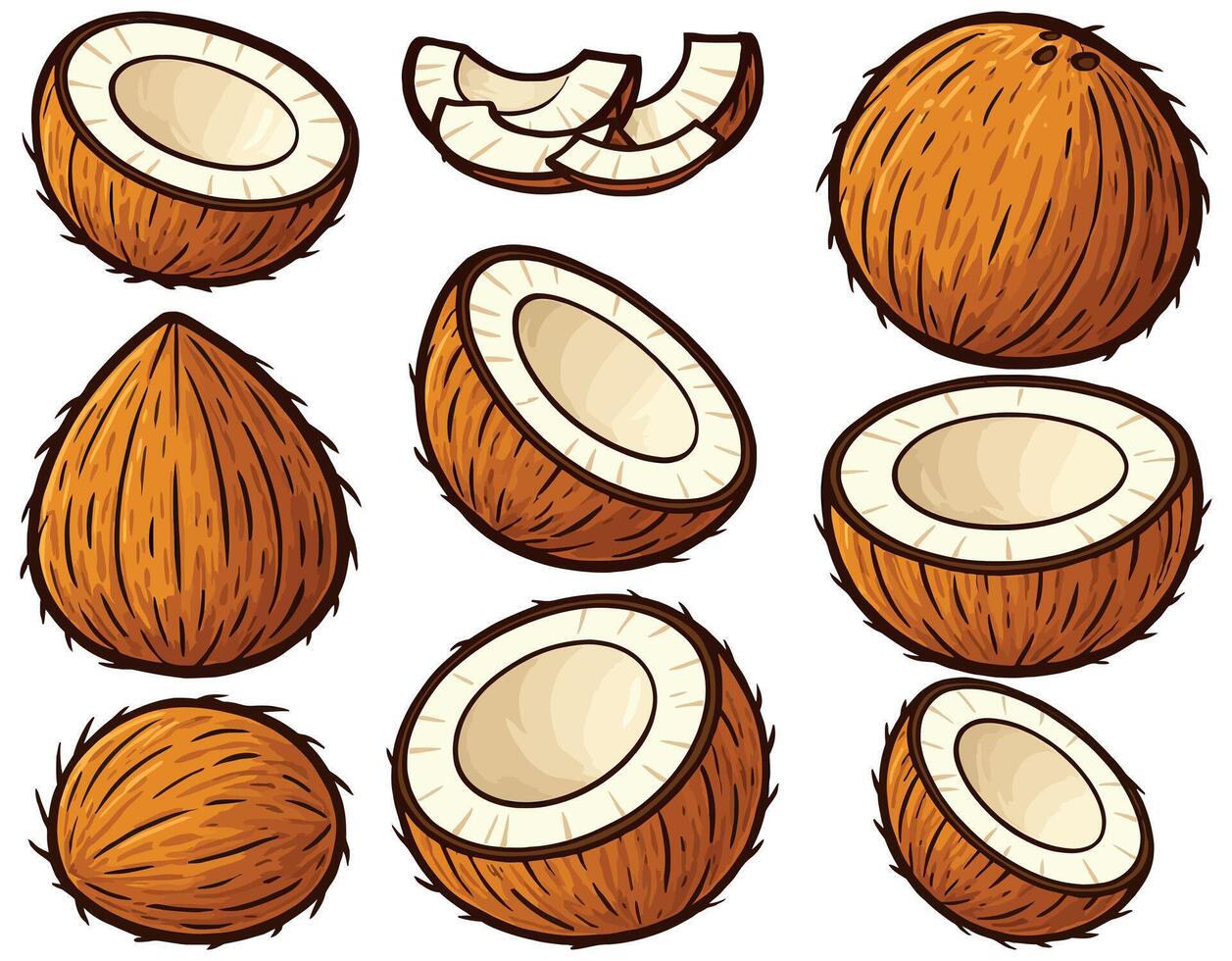 Cartoon Style Coconut Collection vector