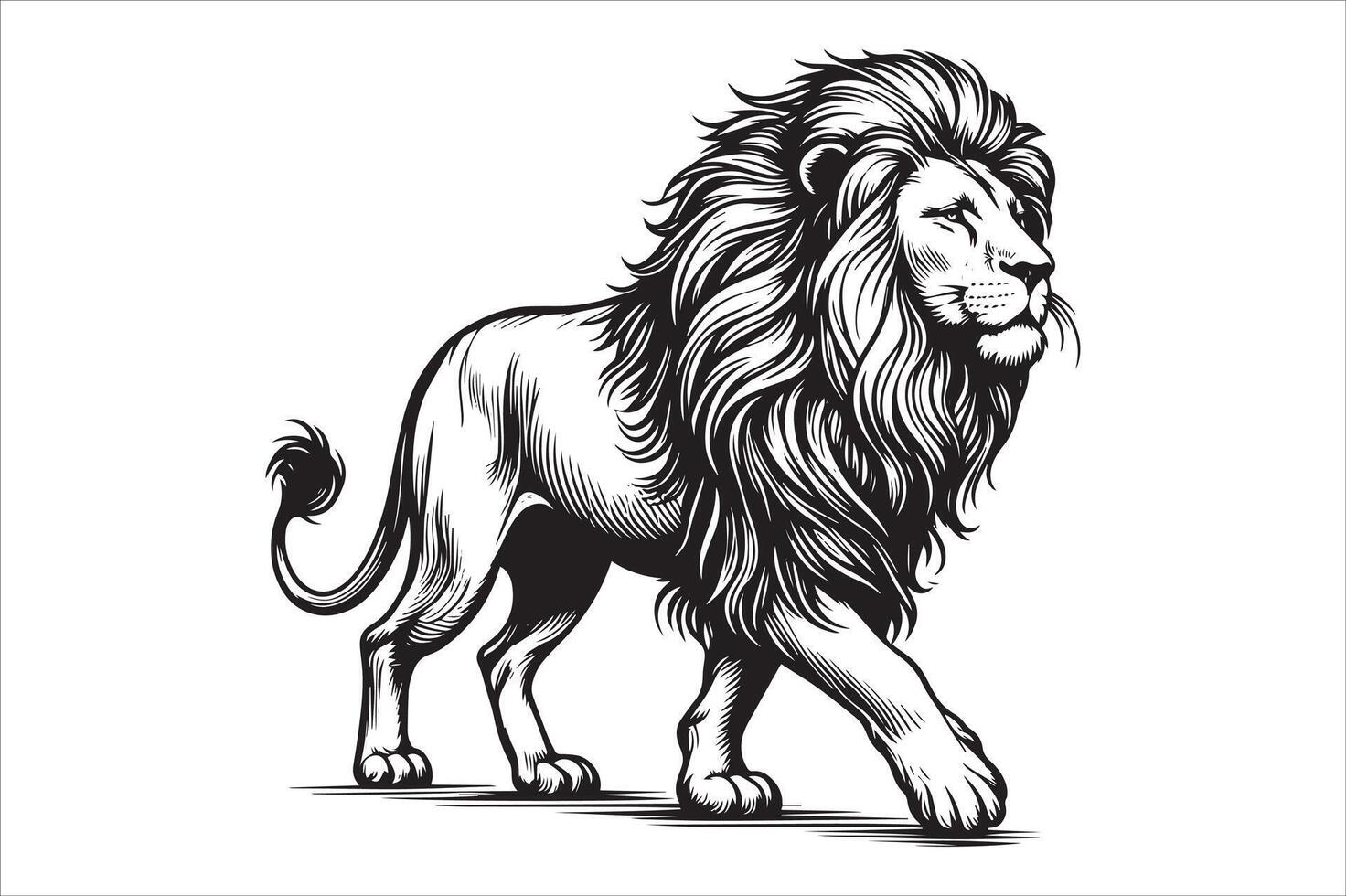 Bold Mane Lion Drawing Minimal Line Art vector