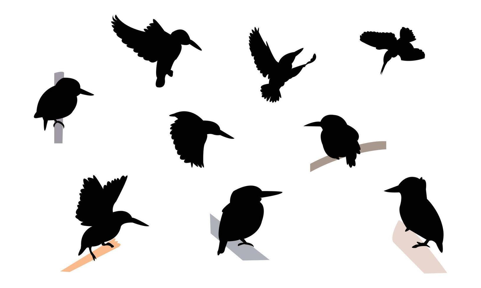 African pygmy kingfisher bird Silhouette Collection vector