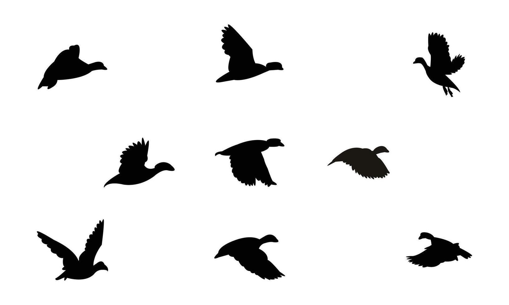 Flying African pygmy goose bird Silhouette Collection vector