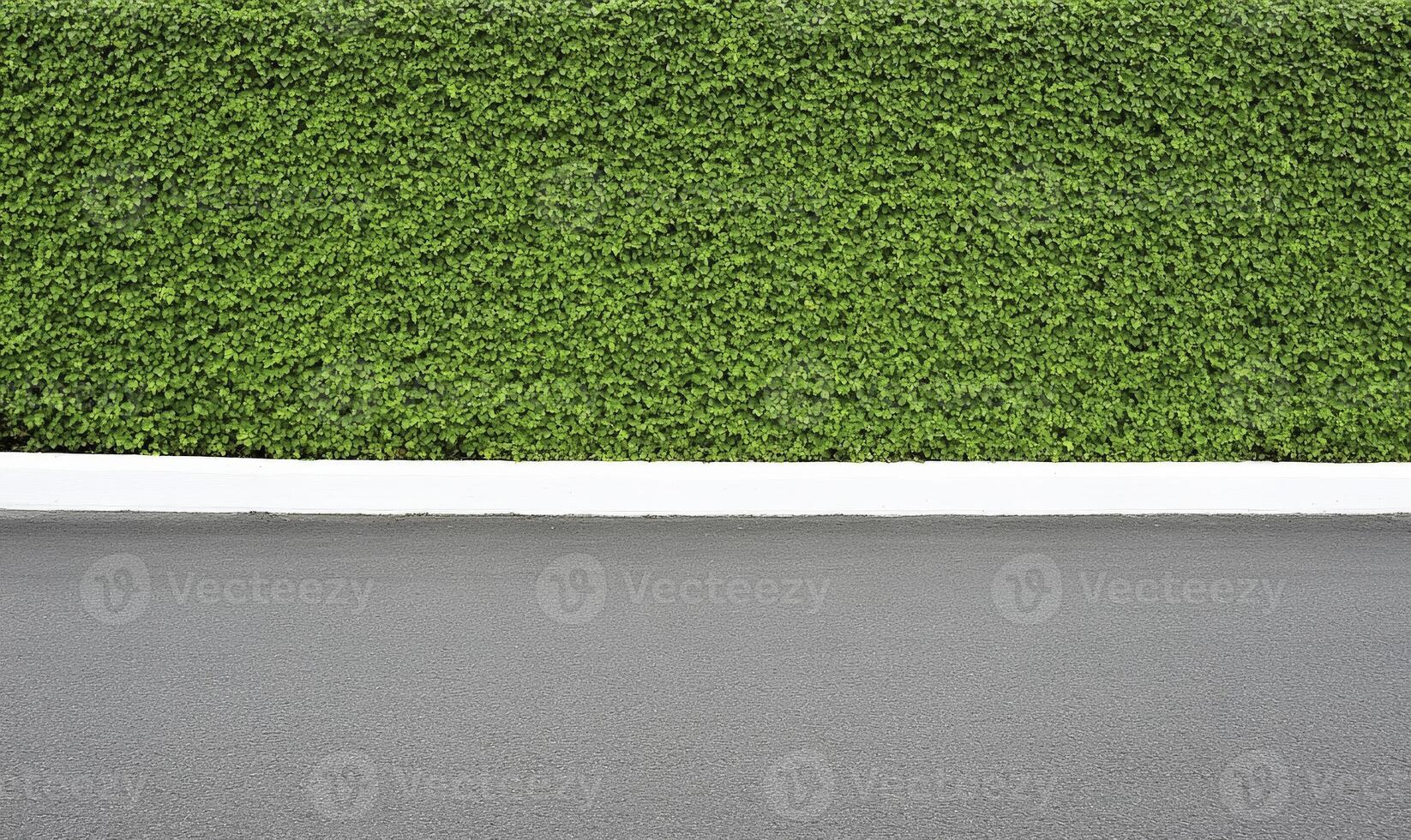 A white wall and a hedge in front of it photo