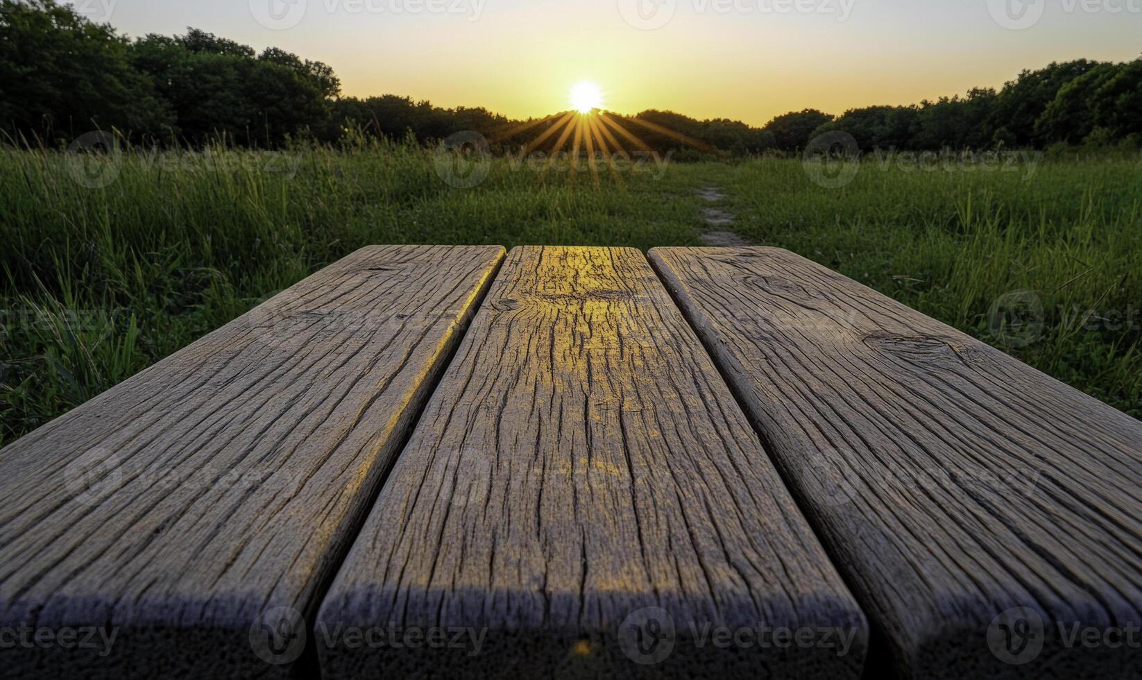 A wooden bench in a field photo
