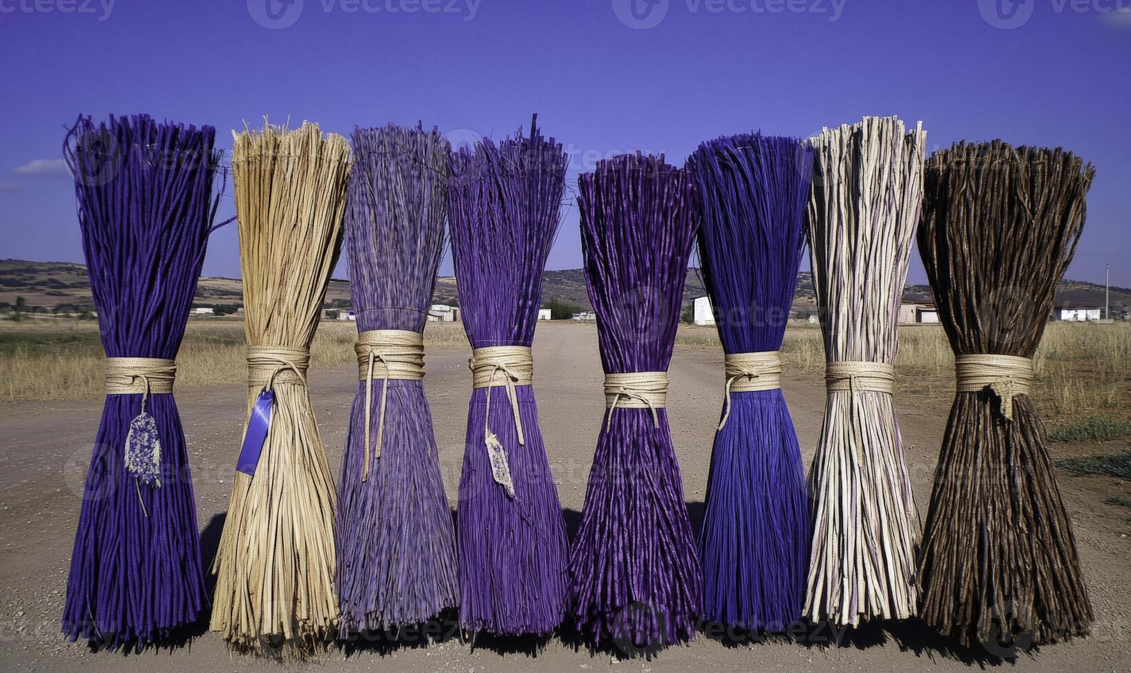 A row of sticks with different colors photo
