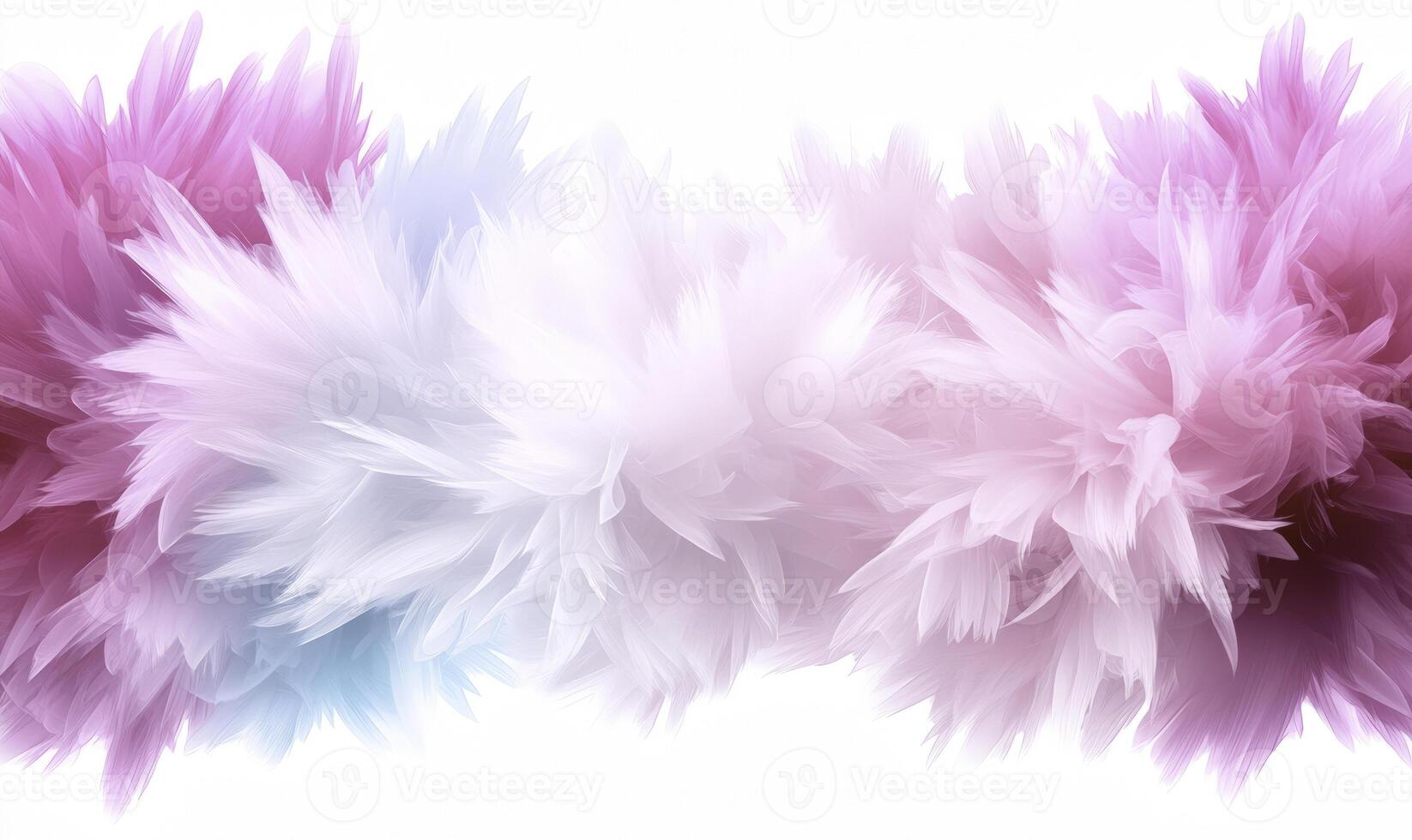 A bunch of pink and blue feathers on a white background photo