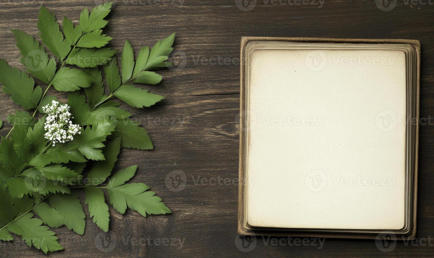 Fresh green leaves and delicate white flower on wooden table with blank square for handwritten notes or artistic inspiration in a natural setting photo