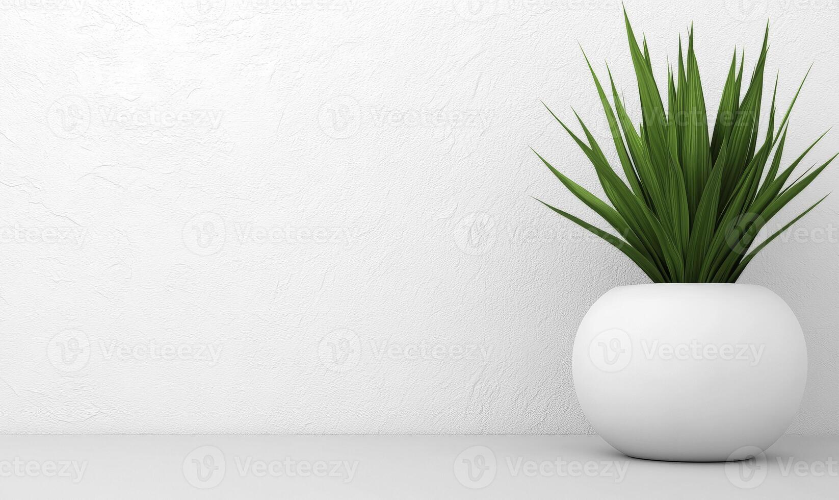 Green plant in white ceramic pot against neutral textured wall, minimalistic design for modern interiors and home decor inspiration photo