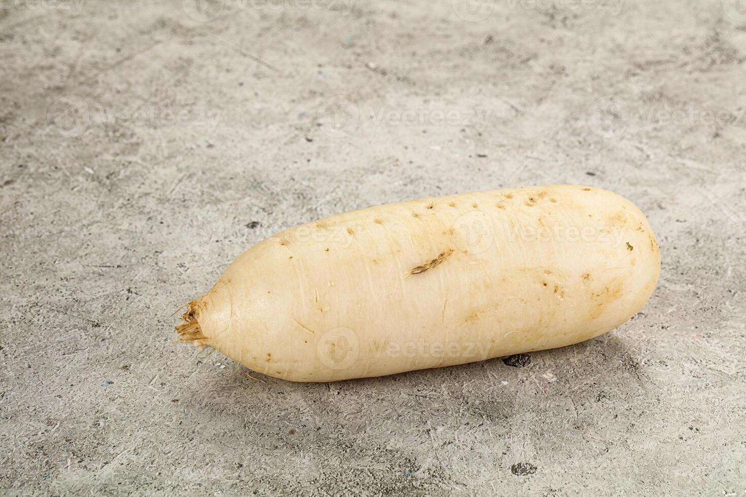 A white potato on a concrete surface photo