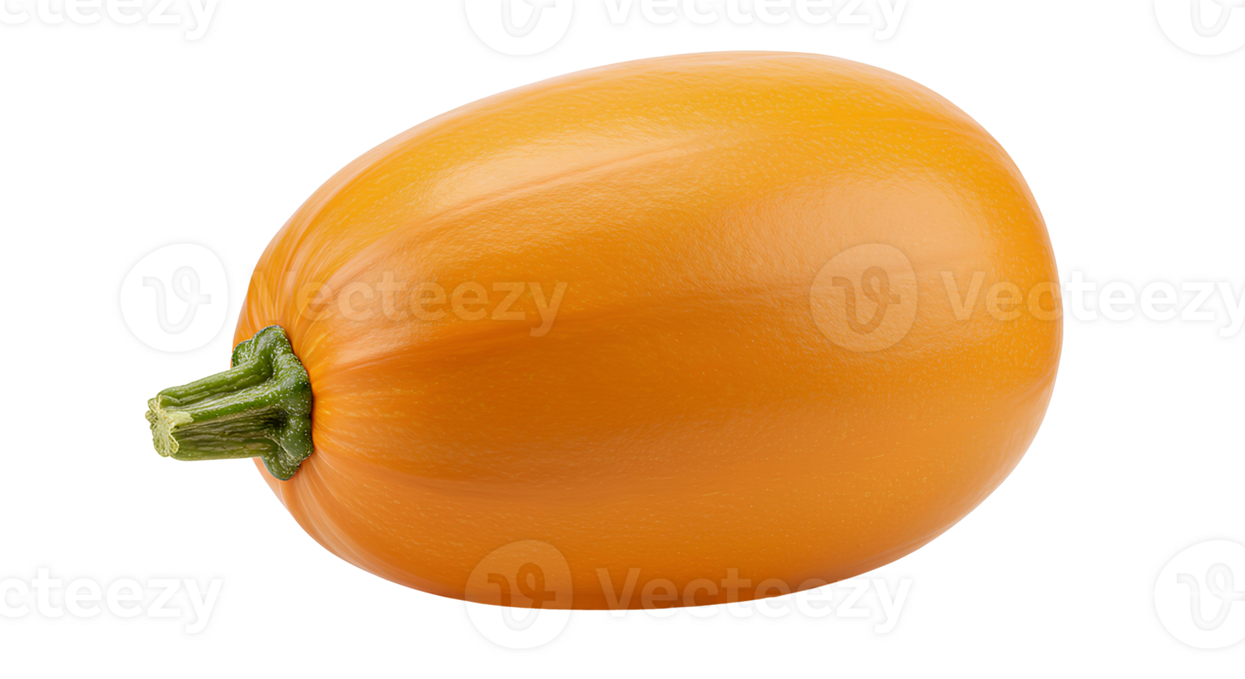 whole round squash vegetable on transparent background for vegetarian meals and nutrition promotions png