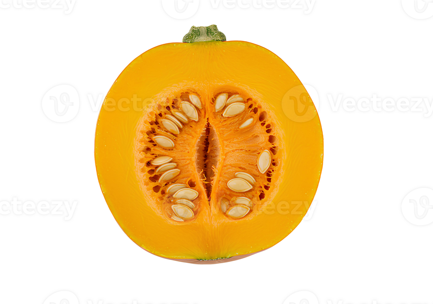 squash sliced in half top view flat lay . squash vegetable with orange skin and seeds isolated. healthy, organic and fresh squash vegetable isolated for vegan vegetarian recipes png