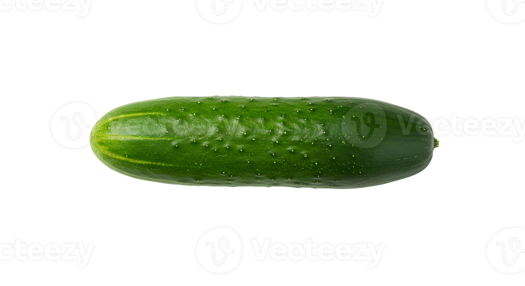 Cucumber isolated on transparent background top view flat lay style png