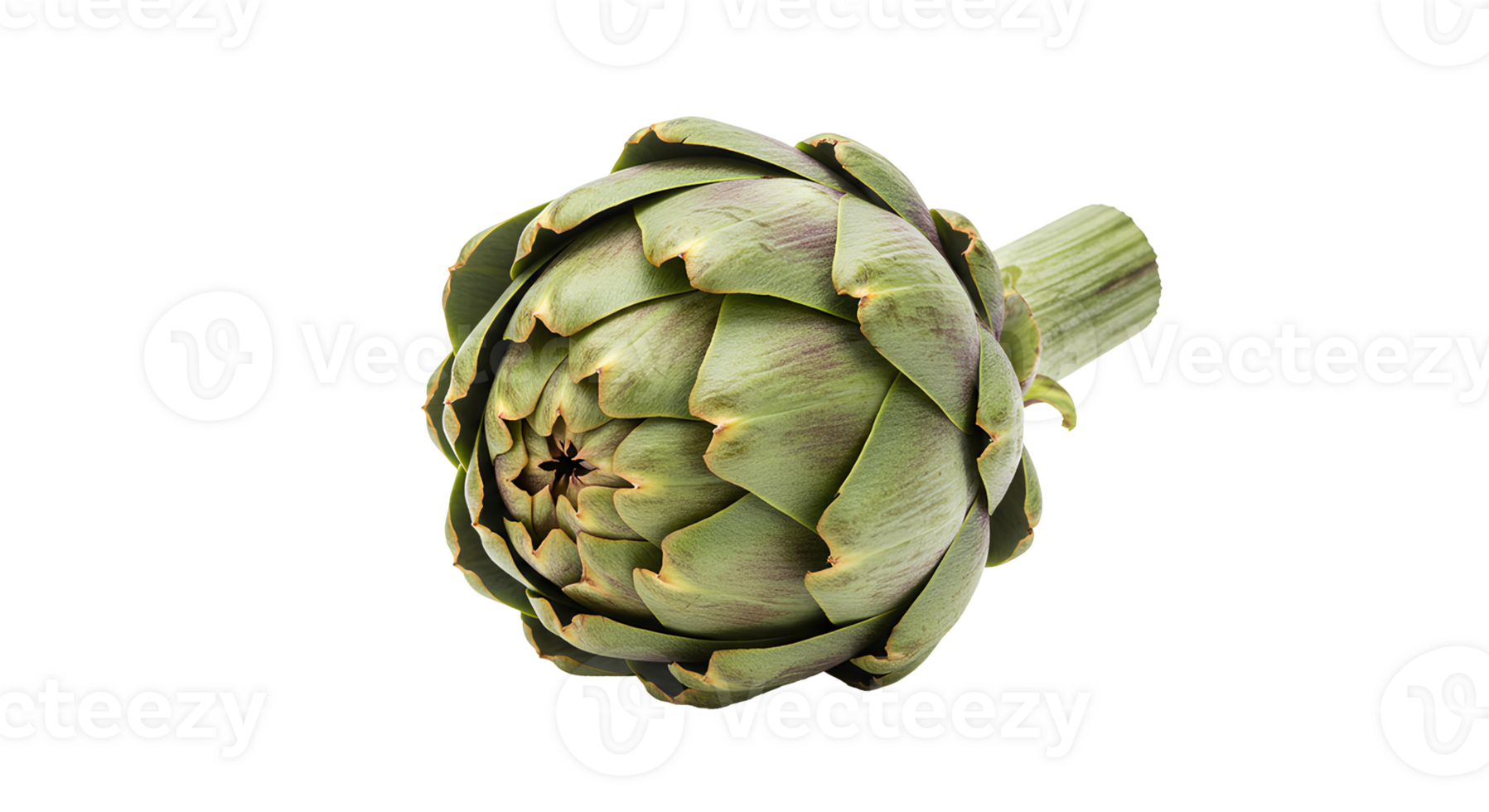 Organic green artichoke with detailed texture isolated for farm-to-table, clean eating, and nutrition visuals png