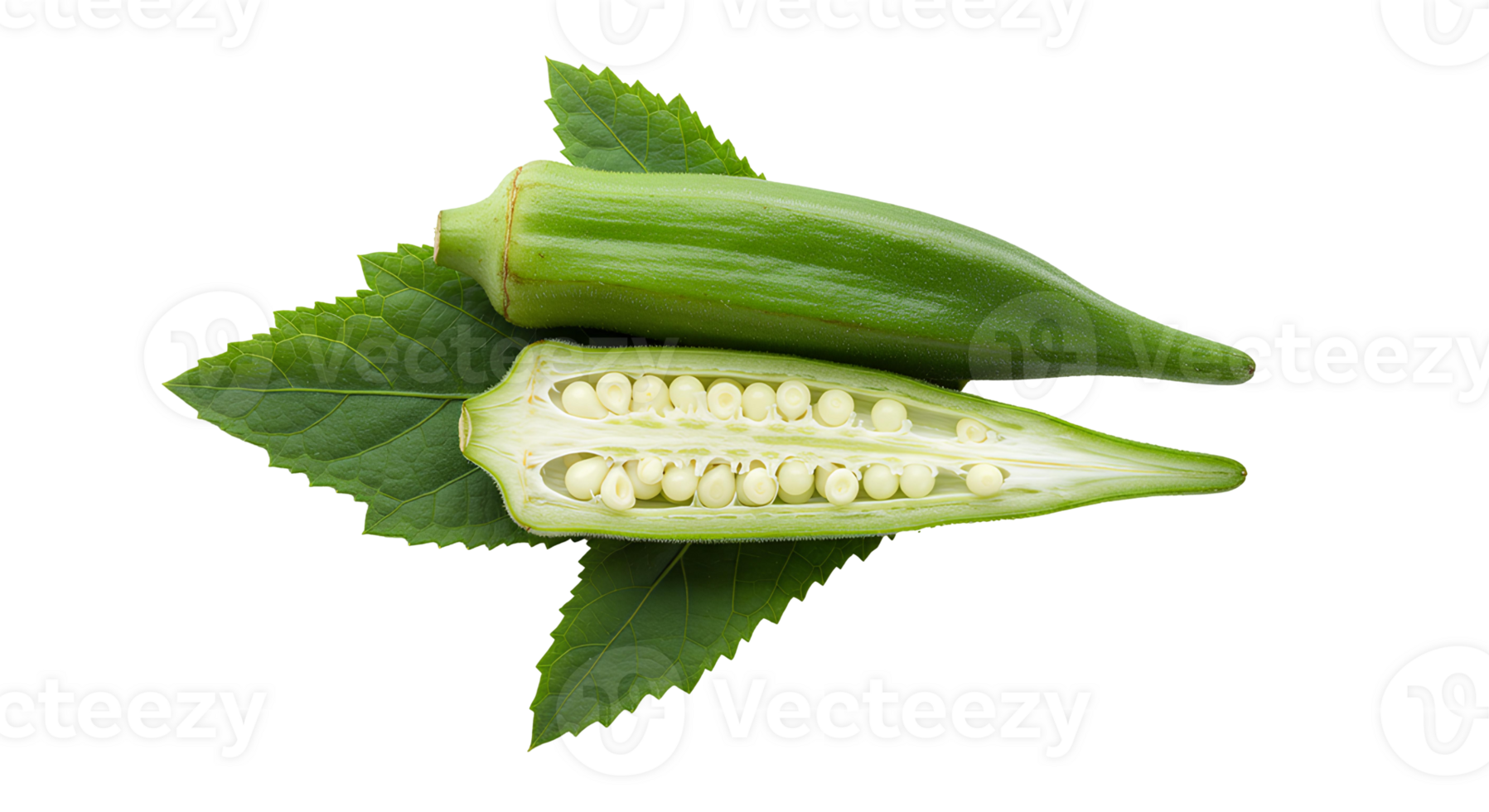 green okra vegetable top view flat lay . Whole okra pods for healthy eating, organic cooking, and plant-based food visuals isolated. Sliced okra with seeds visible png
