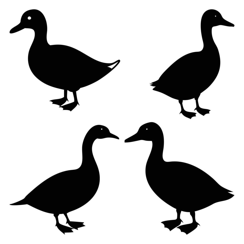 Duck Silhouette Illustration White Background vector