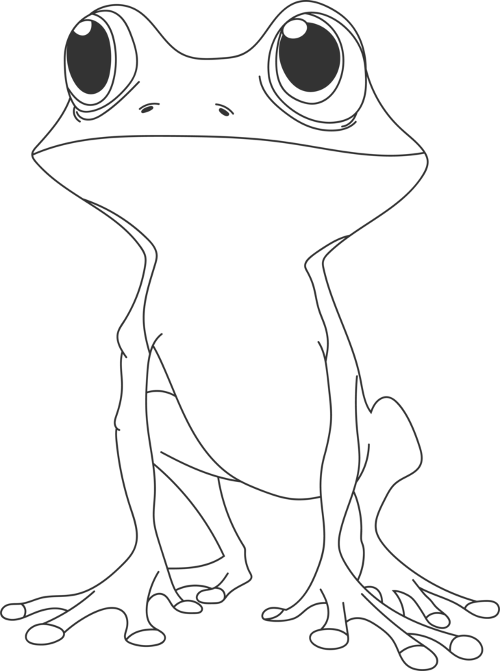 A whimsical, outlined drawing shows a frog standing upright. The frog's large eyes and slender limbs create a charming character. png