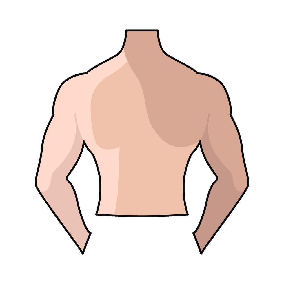 illustration of Body back vector