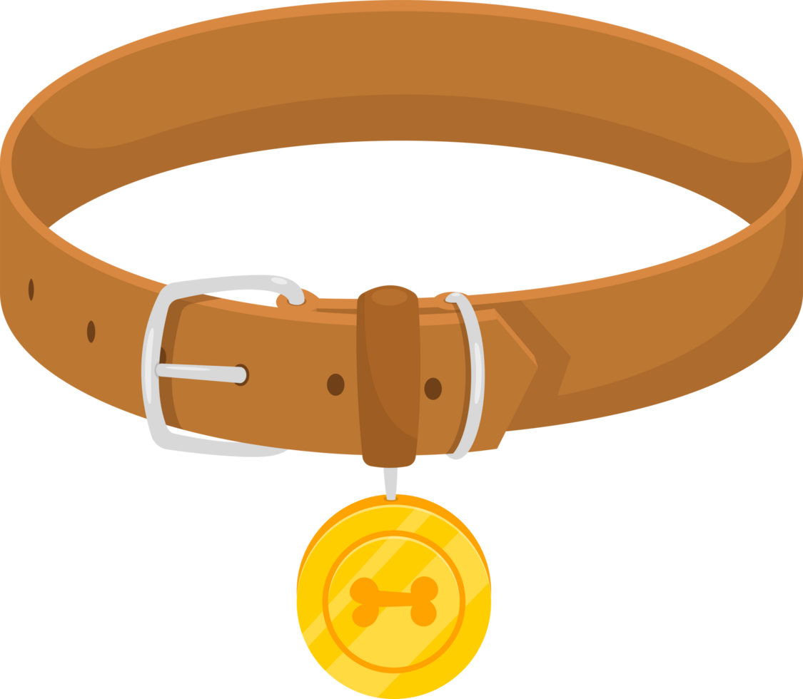 A brown pet collar with a silver buckle and a golden tag with a bone design, set against a transparent background. png