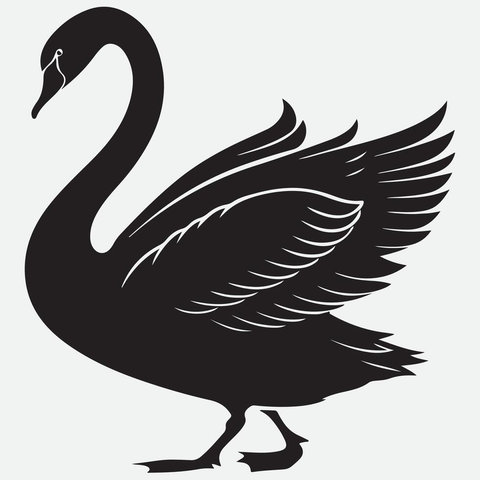 Black swan silhouette on white background vector