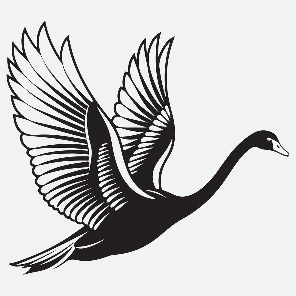 Black and white swan flying in the air vector