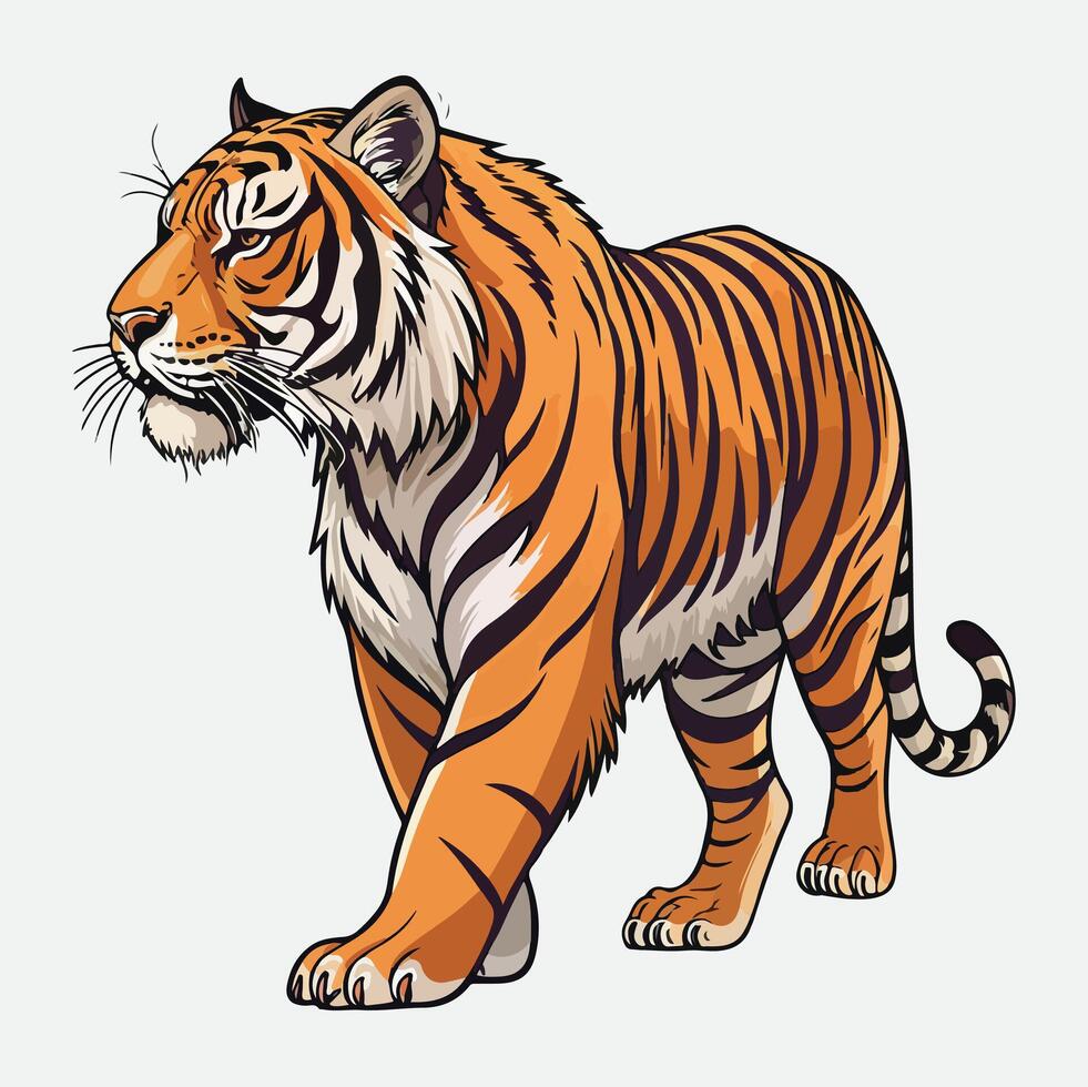 illustration of a tiger on a white background vector