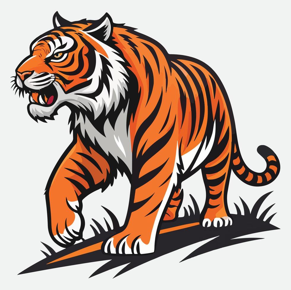 A tiger is walking on the ground vector