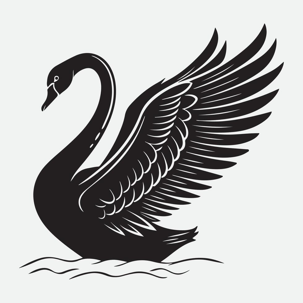 Black swan on white background vector