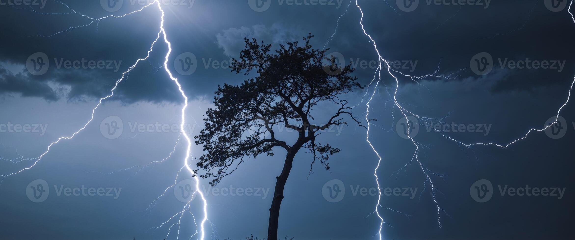Lightning strikes over a silhouetted tree during a storm photo