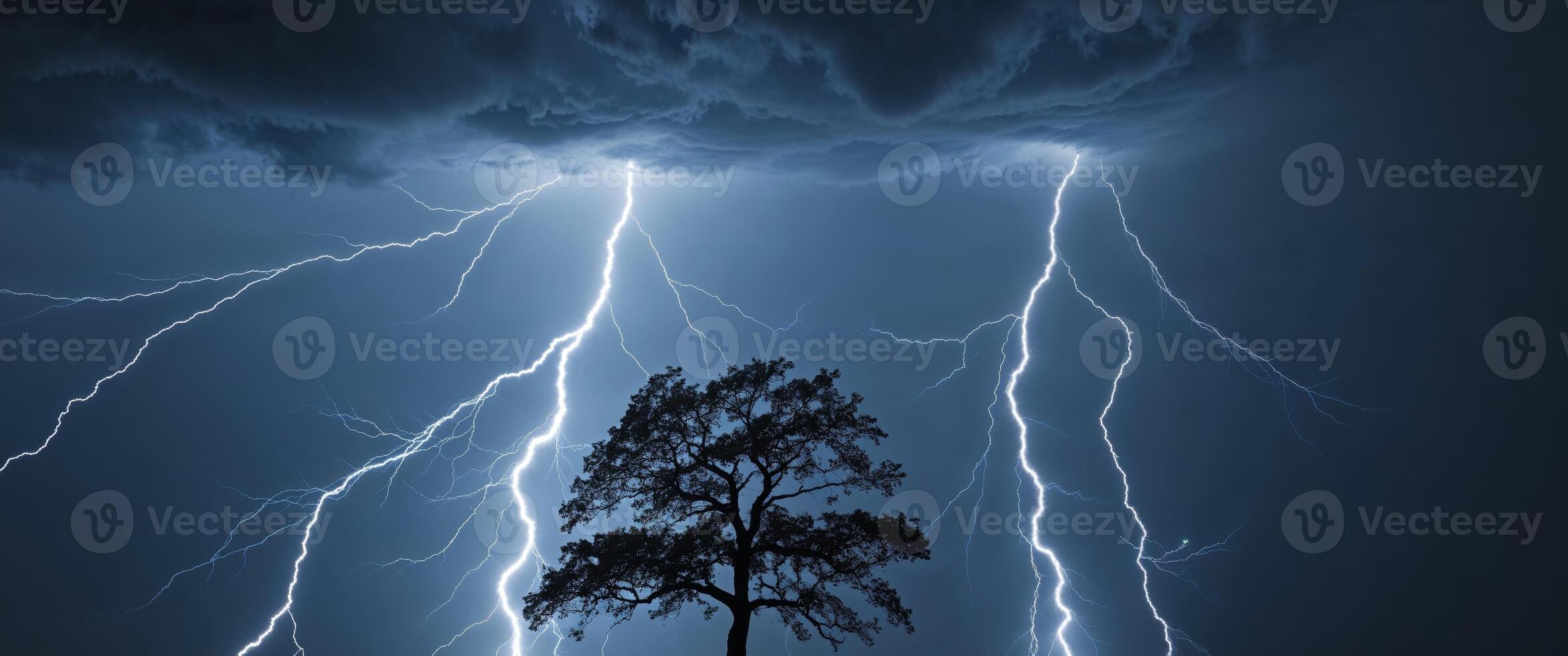 Lightning strikes over a silhouetted tree during a storm. photo
