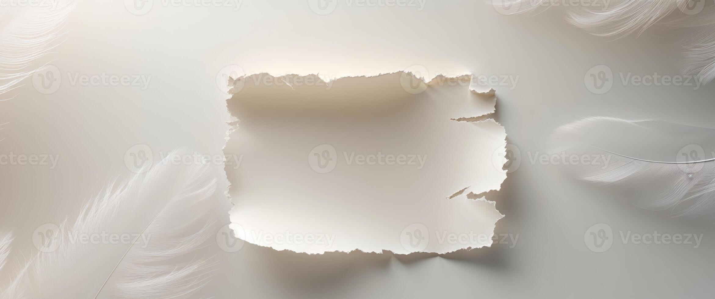 Blank Torn Paper Sheet on Soft Abstract Background for Design Use photo