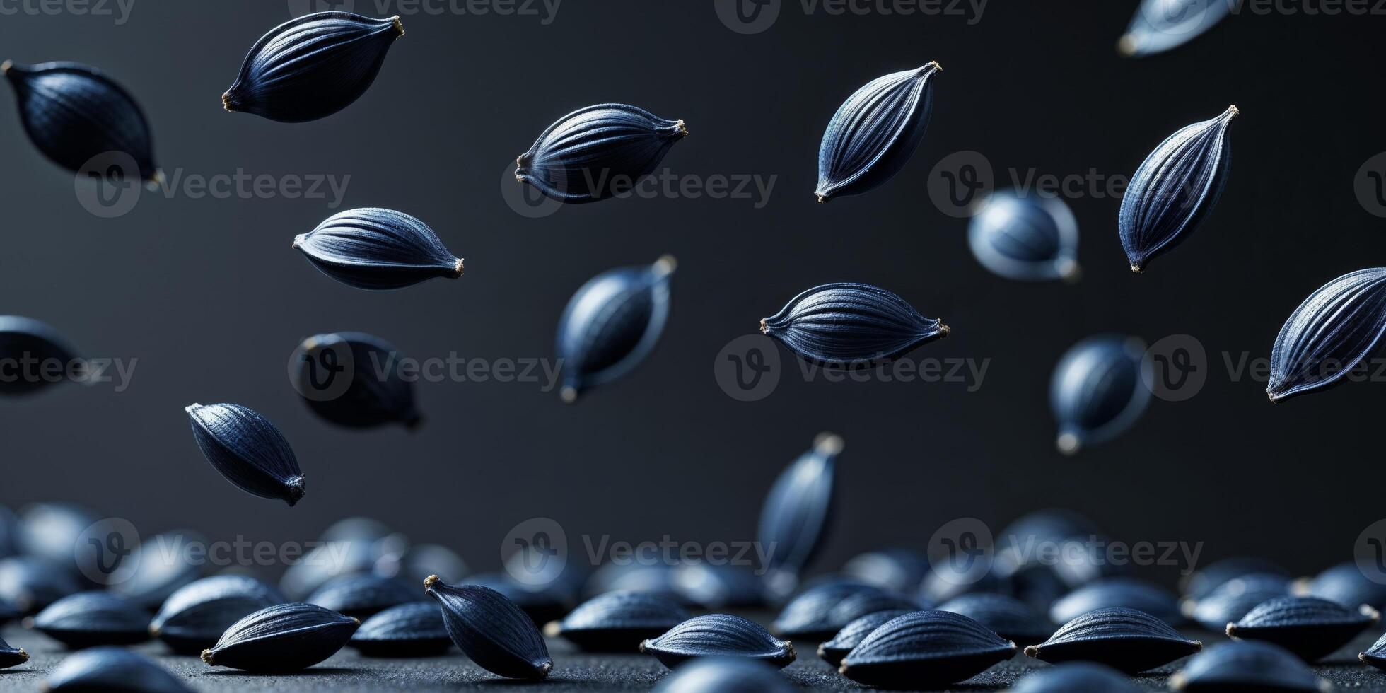 Dark Blue Sunflower Seeds Floating on Black Background photo