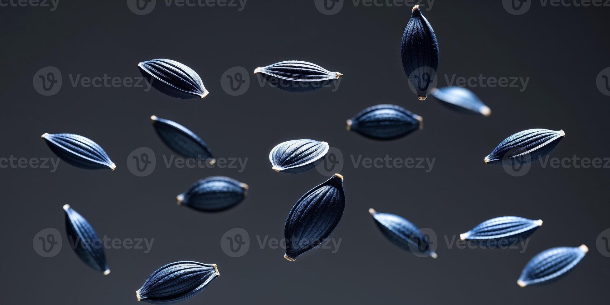 A group of black seeds floating in the air photo