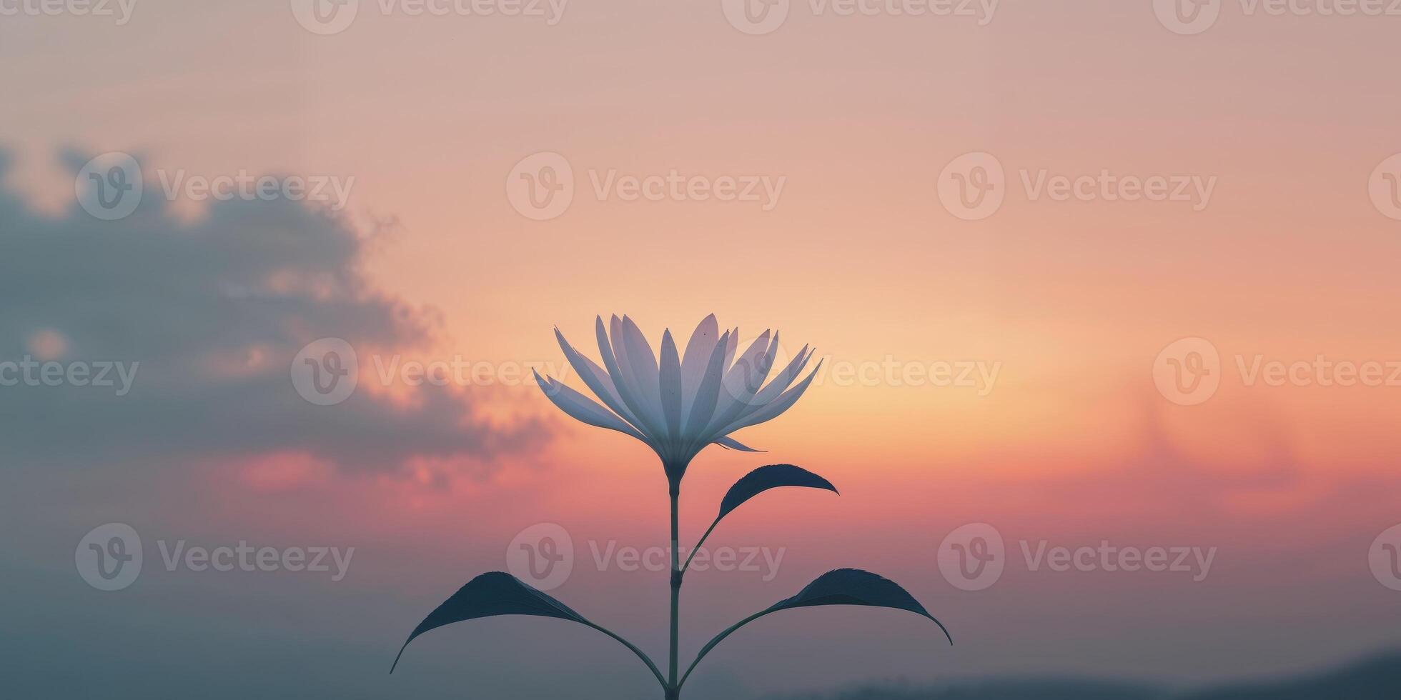 A flower is shown in front of a sunset photo