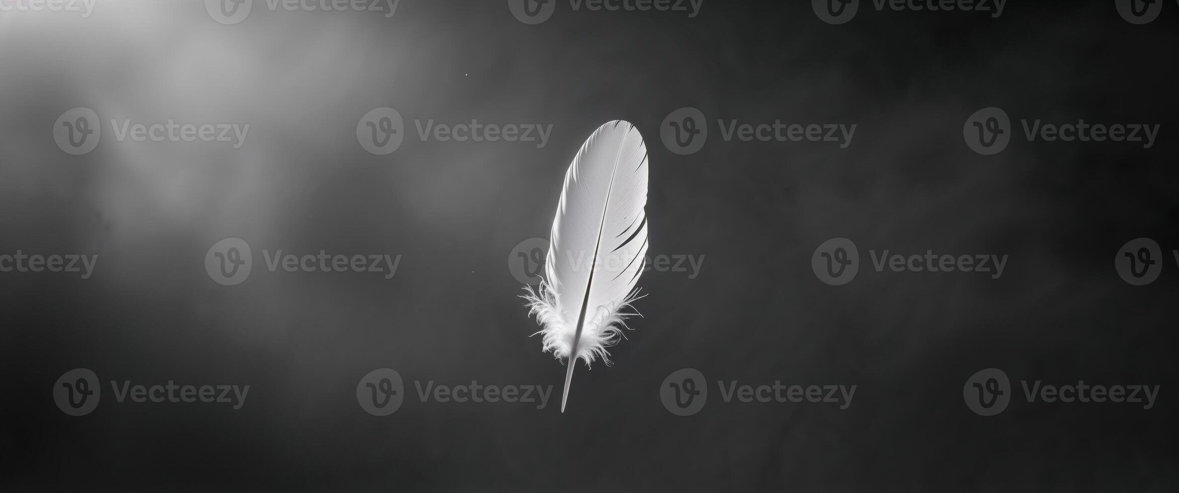 Single White Feather Falling in Dramatic Light photo