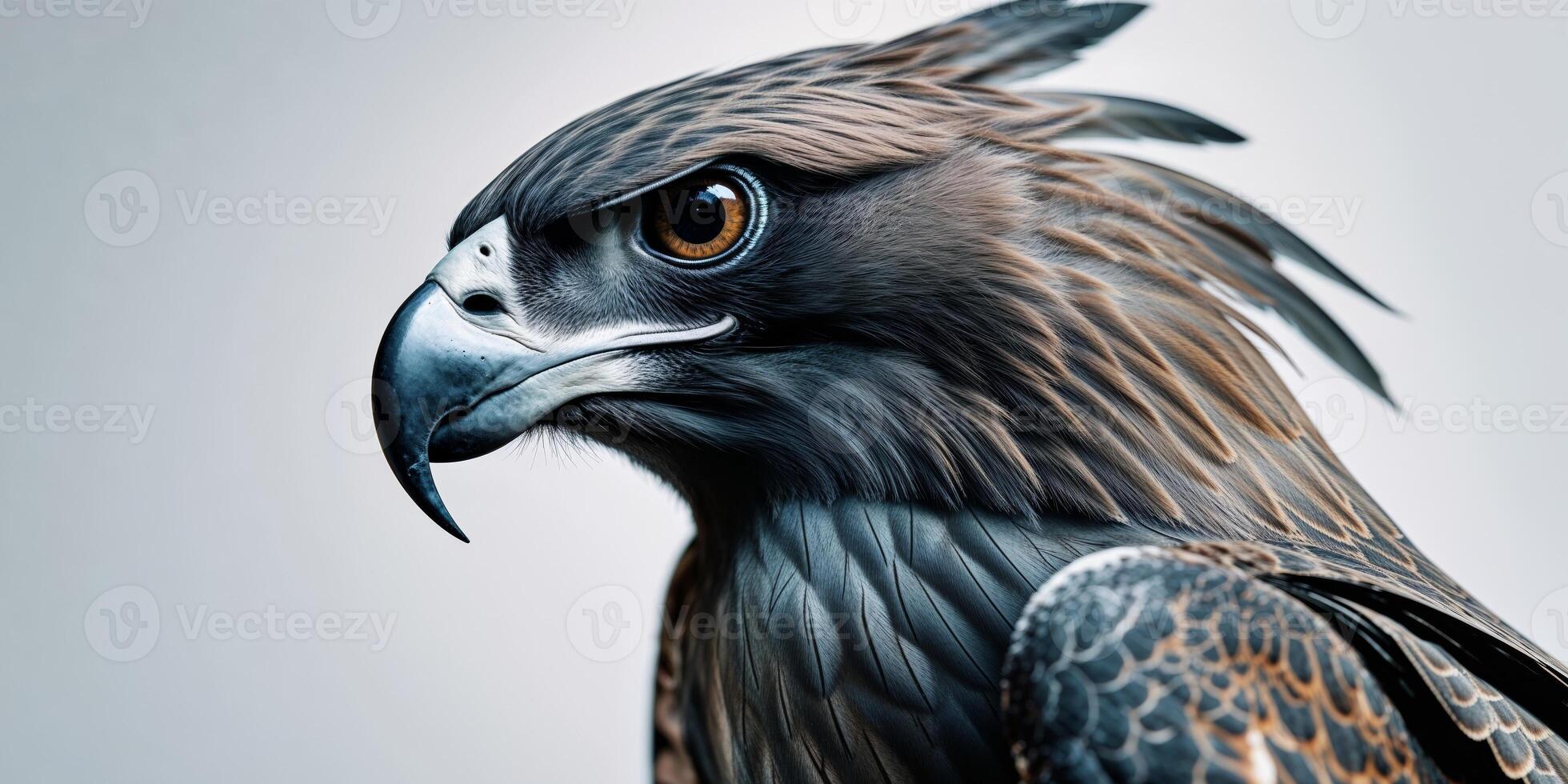 Closeup Profile of a Majestic Bird of Prey with Intense Gaze. photo