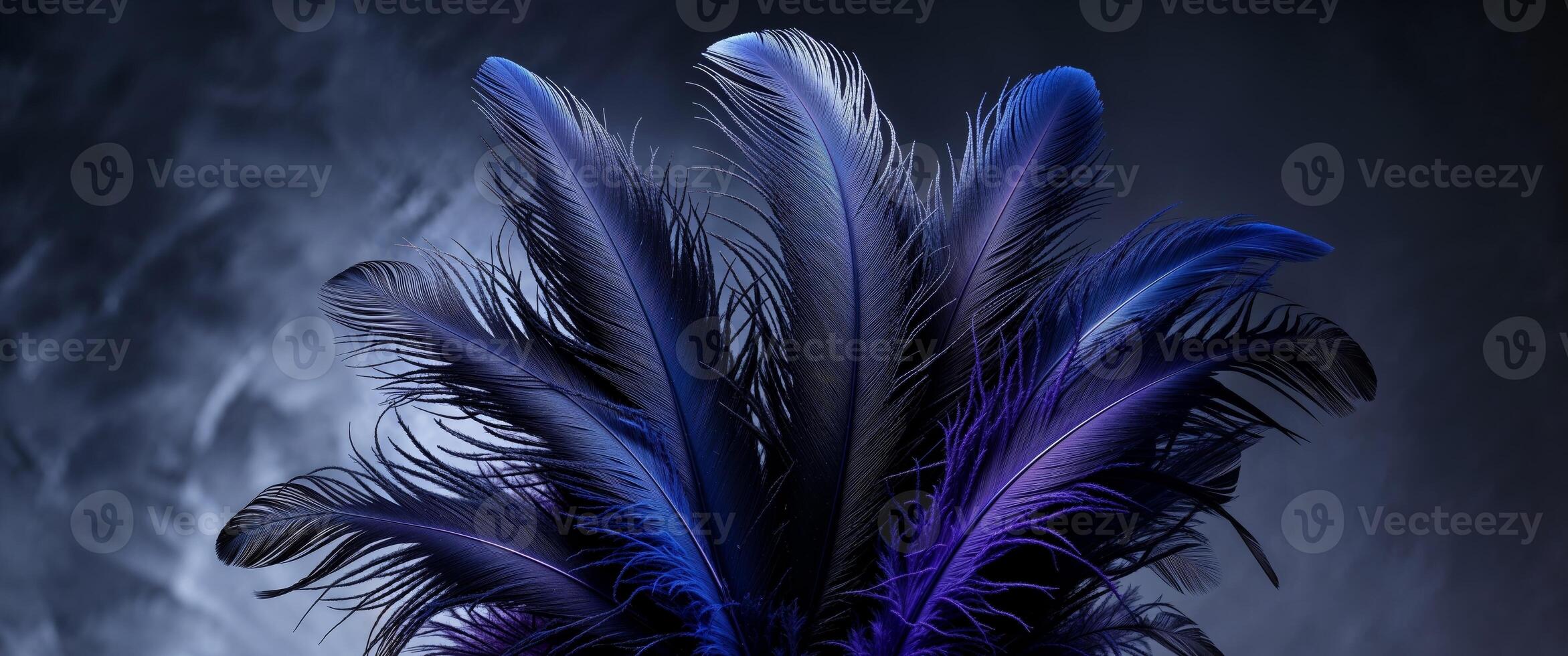 A blue and purple feather on a dark background photo